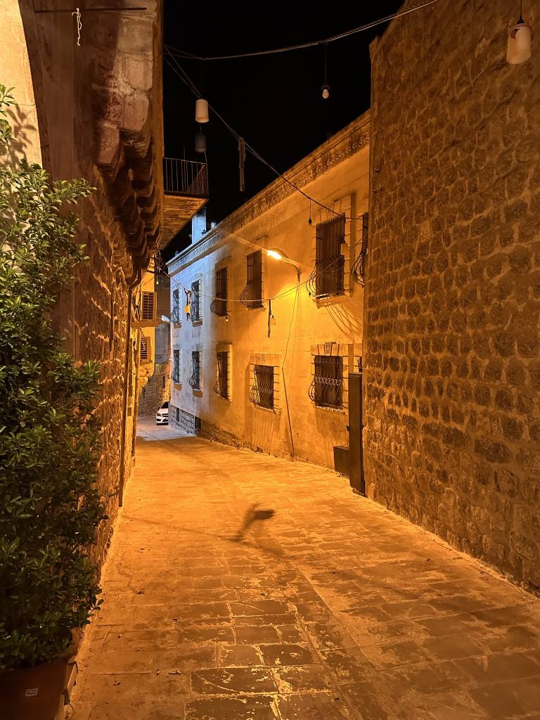 Поездка в Мардин (Mardin): что посмотреть, как добраться, фото 